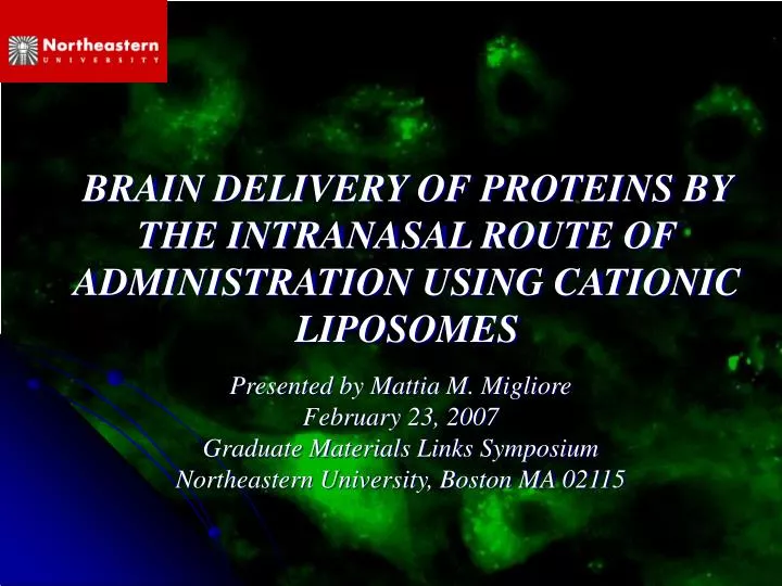 brain delivery of proteins by the intranasal route of administration using cationic liposomes