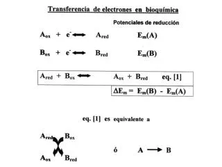 Análisis del transporte de electrones en bioquímica