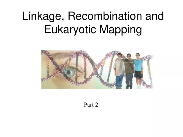 linkage recombination and eukaryotic mapping