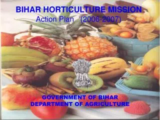 BIHAR HORTICULTURE MISSION Action Plan (2006-2007)