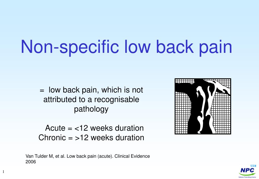 PPT - Non-specific low back pain PowerPoint Presentation, free download ...