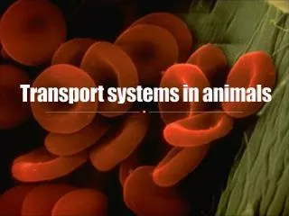 Transport systems in animals