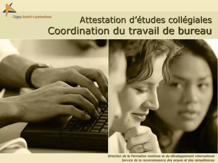 attestation d tudes coll giales coordination du travail de bureau