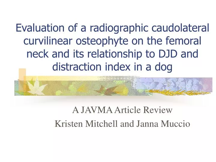 a javma article review kristen mitchell and janna muccio