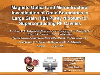 Magneto Optical and Microstructural Investigation of Grain Boundaries in Large Grain High Purity Niobium for Superconduc