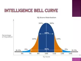 Intelligence Bell Curve