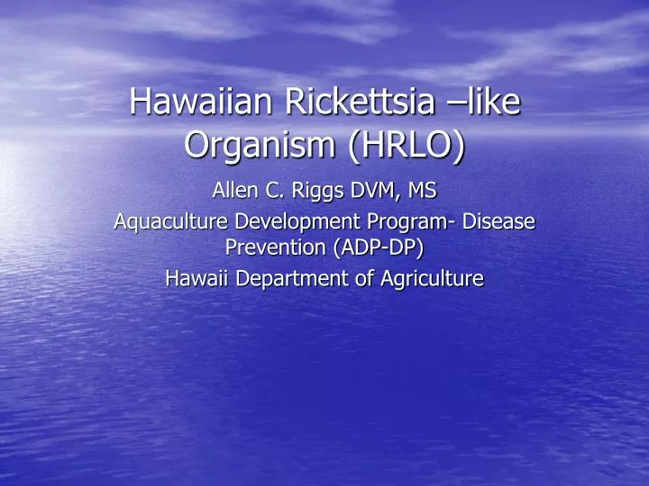 hawaiian rickettsia like organism hrlo