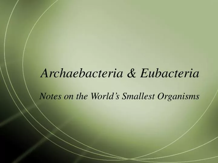 archaebacteria eubacteria