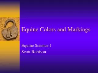 Equine Colors and Markings