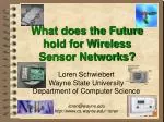 What does the Future hold for Wireless Sensor Networks? - slide 1