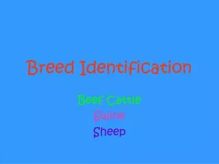 Breed Identification