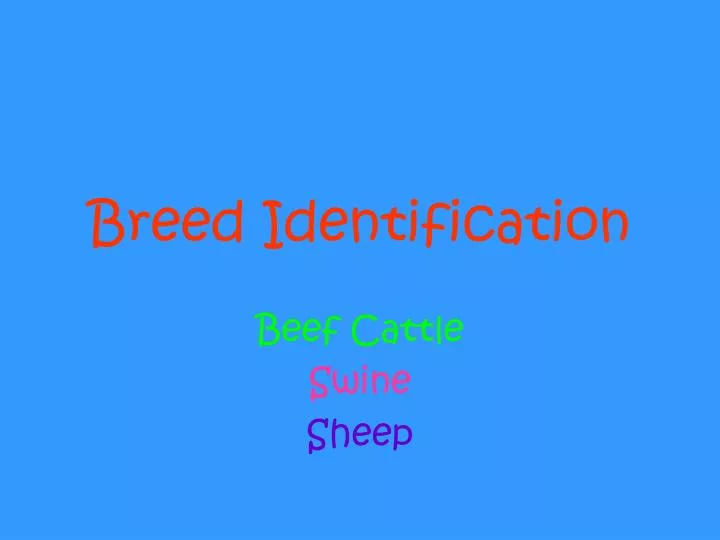breed identification