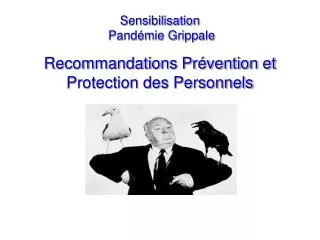 Sensibilisation Pandémie Grippale Recommandations Prévention et Protection des Personnels
