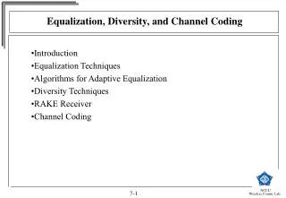 Equalization, Diversity, and Channel Coding