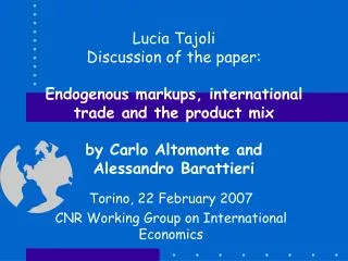 Torino, 22 February 2007 CNR Working Group on International Economics