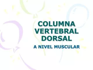 columna vertebral dorsal