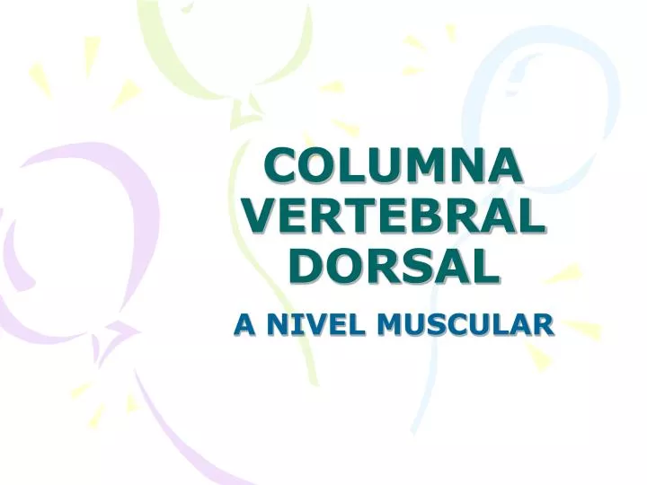 columna vertebral dorsal