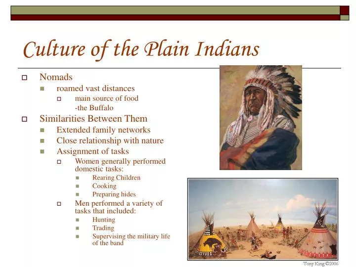 culture of the plain indians