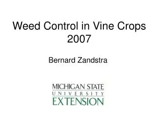 Weed Control in Vine Crops 2007