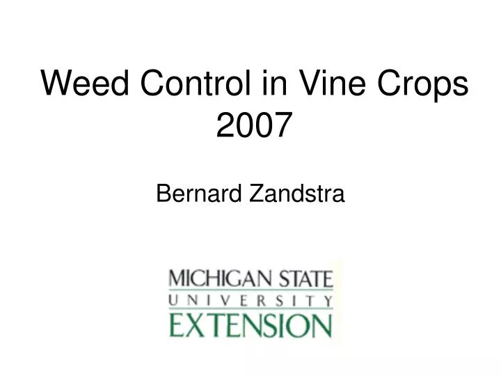 weed control in vine crops 2007