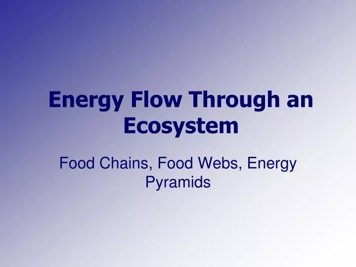 energy flow through an ecosystem
