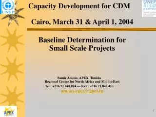 Capacity Development for CDM Cairo, March 31 &amp; April 1, 2004 Baseline Determination for Small Scale Projects