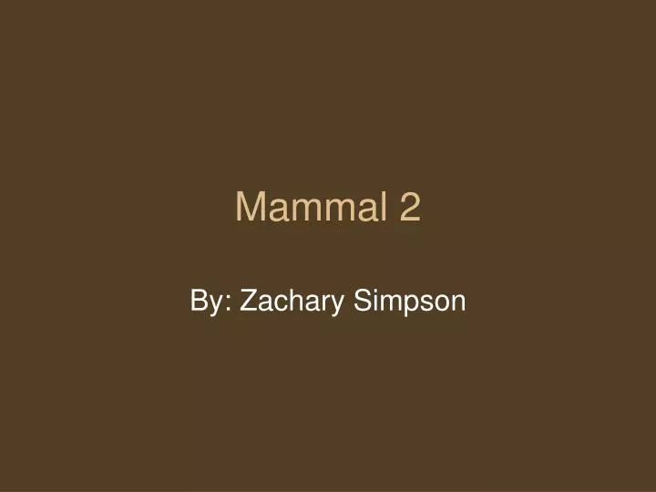 mammal 2