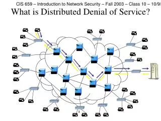What is Distributed Denial of Service?