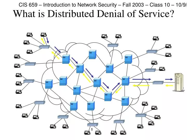 what is distributed denial of service