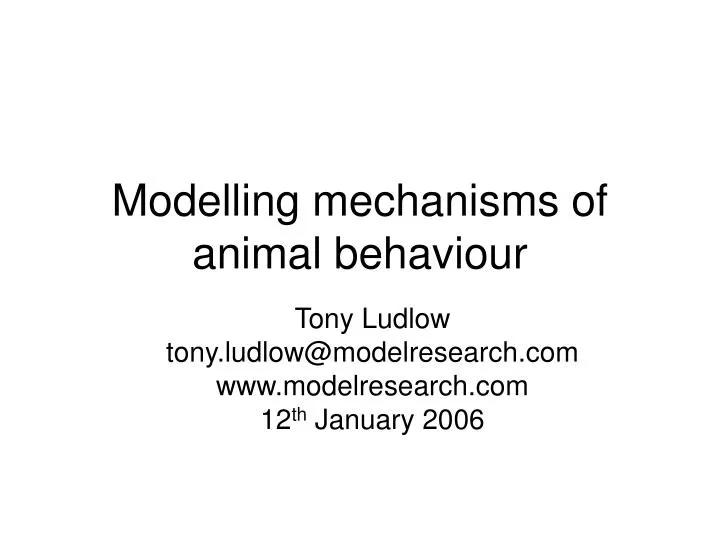 modelling mechanisms of animal behaviour