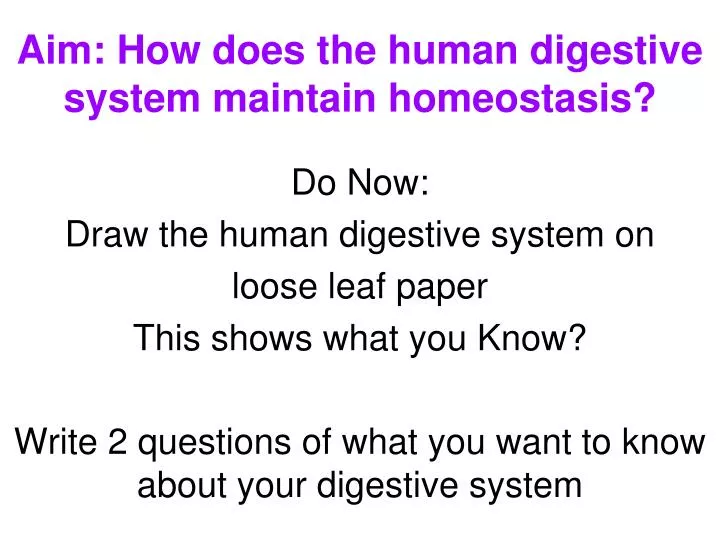 aim how does the human digestive system maintain homeostasis
