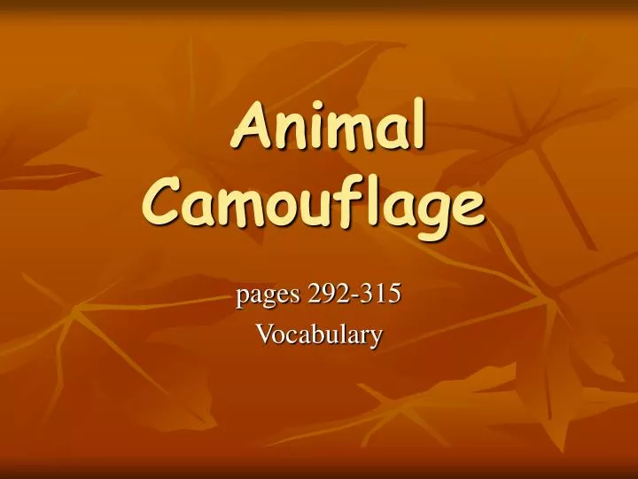 animal camouflage
