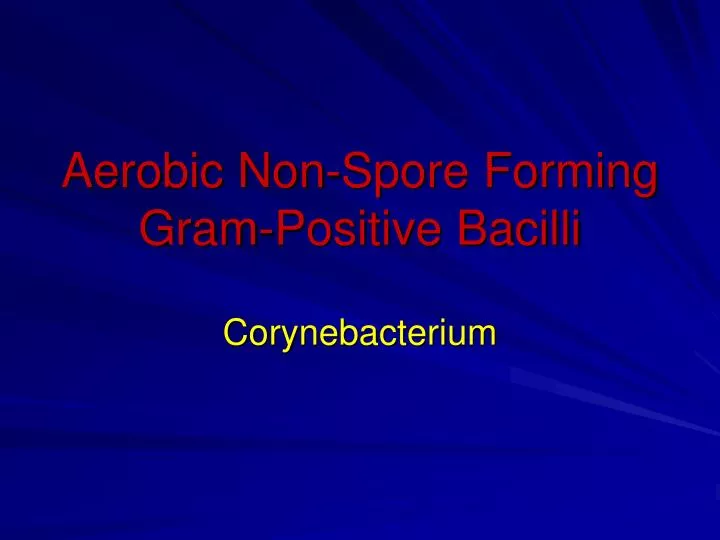 aerobic non spore forming gram positive bacilli