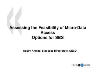 Assessing the Feasibility of Micro-Data Access Options for SBS