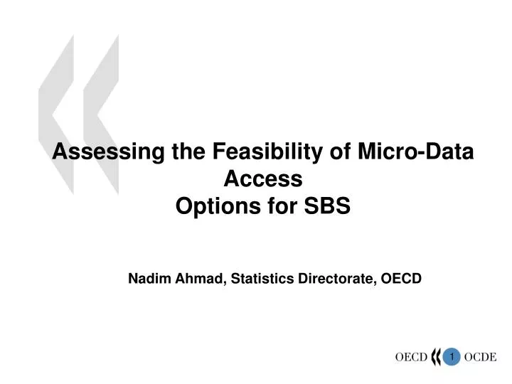 assessing the feasibility of micro data access options for sbs