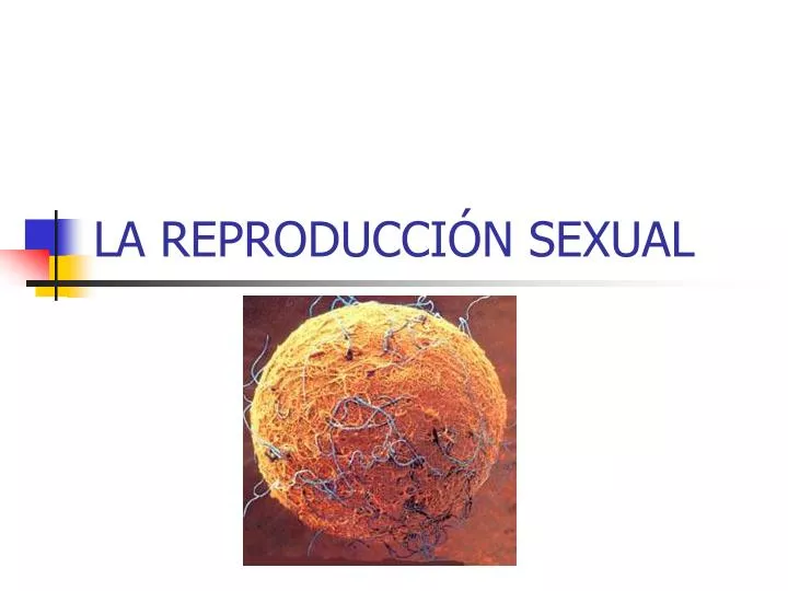 la reproducci n sexual