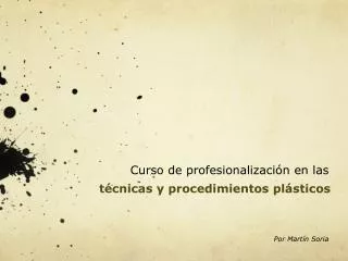 Curso de profesionalización en las