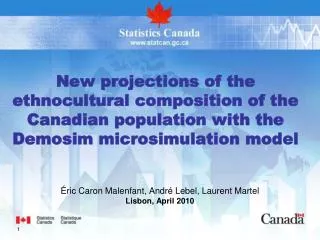 New projections of the ethnocultural composition of the Canadian population with the Demosim microsimulation model