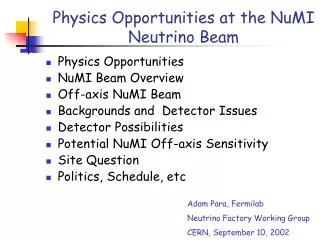 Physics Opportunities at the NuMI Neutrino Beam