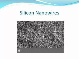 Silicon Nanowires