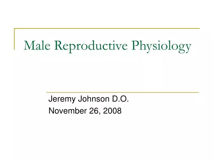 male reproductive physiology