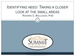 Identifying need: Taking a closer look at the small areas Richard C. Bullough, PhD