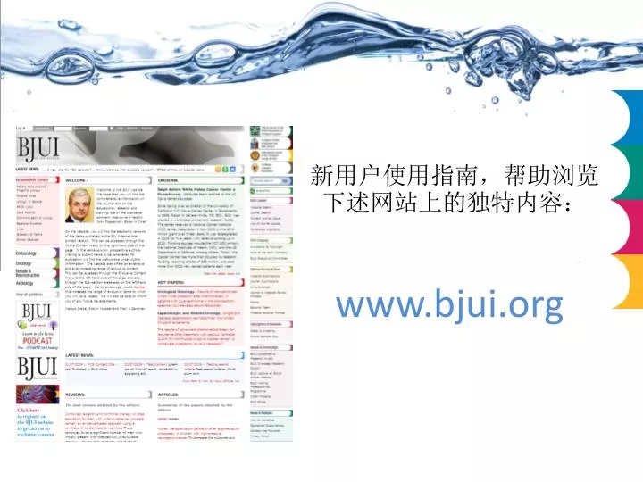 www bjui org