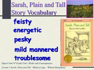 Sarah, Plain and Tall Story Vocabulary