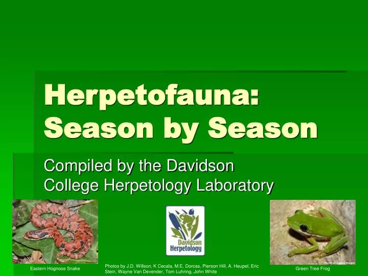 herpetofauna season by season