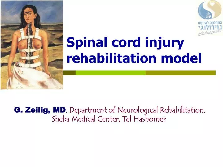 spinal cord injury rehabilitation model