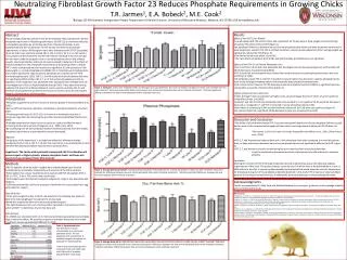 Neutralizing Fibroblast Growth Factor 23 Reduces Phosphate Requirements in Growing Chicks