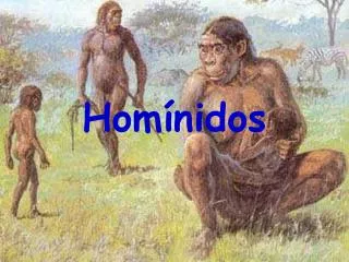 hom nidos