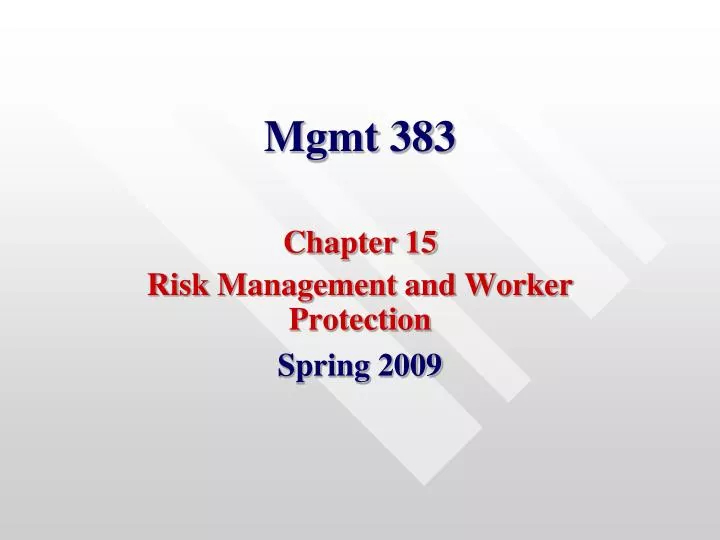 mgmt 383