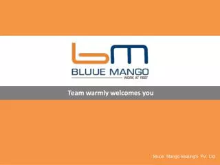 Bluue Mango Seating's Pvt Ltd